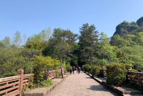 武夷山恢復(fù)開放，全國(guó)醫(yī)護(hù)人員免費(fèi)游覽，多項(xiàng)優(yōu)惠政策助力旅游業(yè)復(fù)蘇