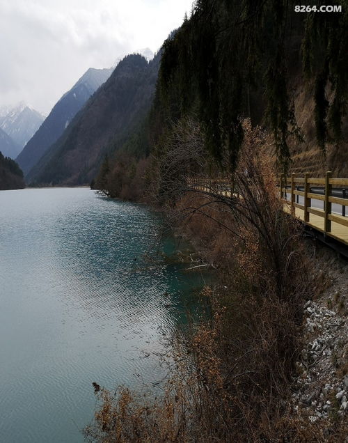 九寨溝樹正溝游覽體驗與景區管理觀察